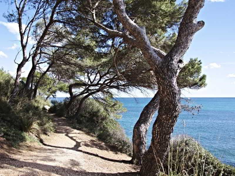 Cap Vermell Beach Hotel Canyamel  Eksteriør bilde